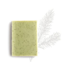 Cocooning – Savon corps et mains 100 gr – Forêt des alpes