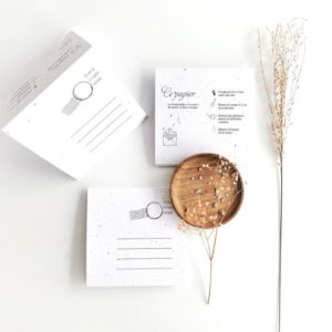 FPAP – Carte de vœux à planter – Plusieurs phrases