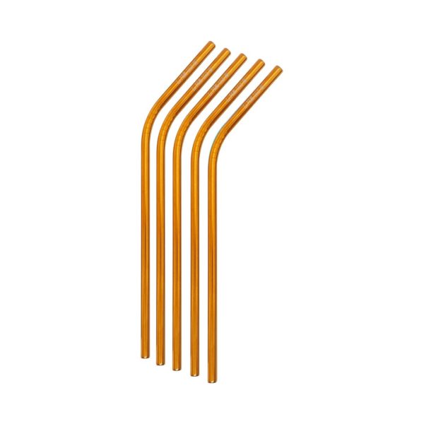PailleVerte_Benty_Bronze_02