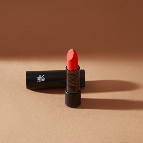 absolution-rouge-a-levres-16-1