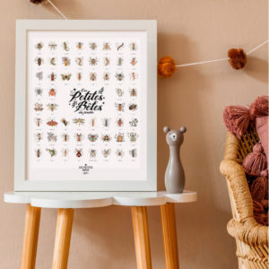 Les Petites Dates – Les Petites bêtes du jardin