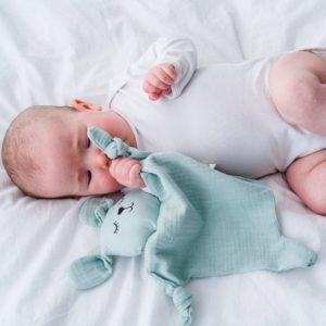 Apunt Barcelona – Doudou en coton bio – Lapin