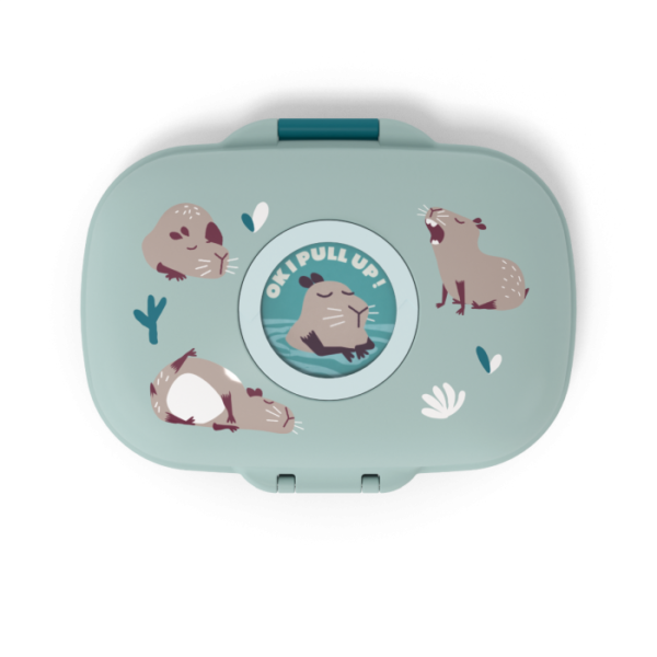 gram-capybara-dessus-dessus