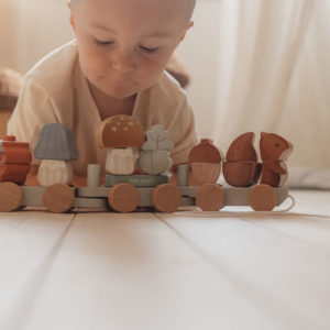 Little Dutch – Train à blocs écureuil – Forest Friends