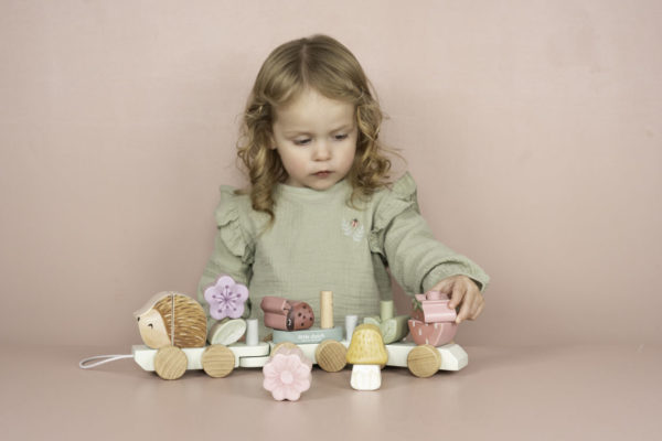 0010098_eisenbahn-mit-steck-formen-igel-fairy-garden-fsc